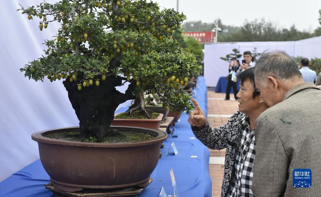 指尖娱乐平台